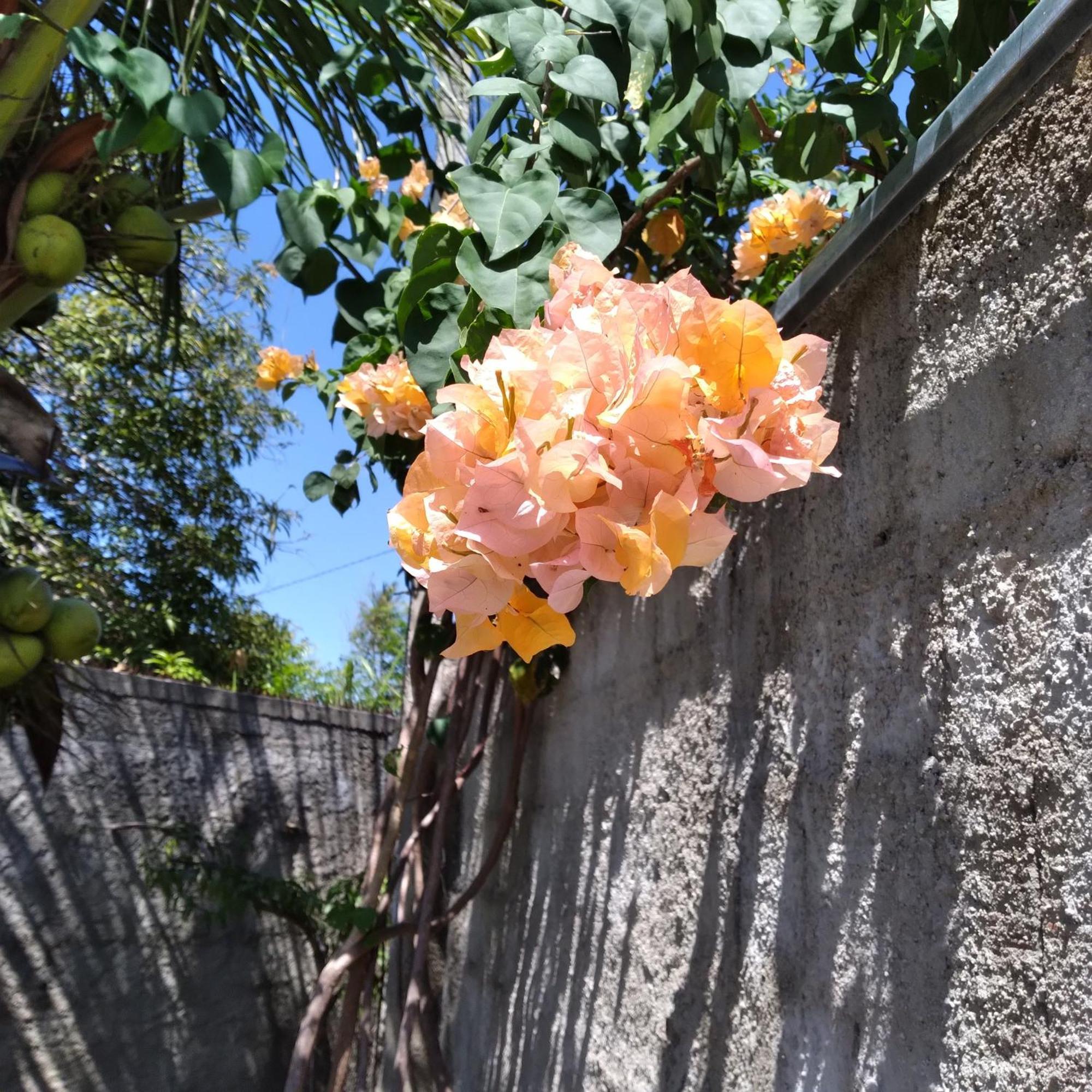 Casa China & Silva, Otima Casa Para Praia Ou Descanso, Proximo As Dunas Da Sabiaguaba E Shoppings Em Eusebio E Fortaleza Ce Экстерьер фото